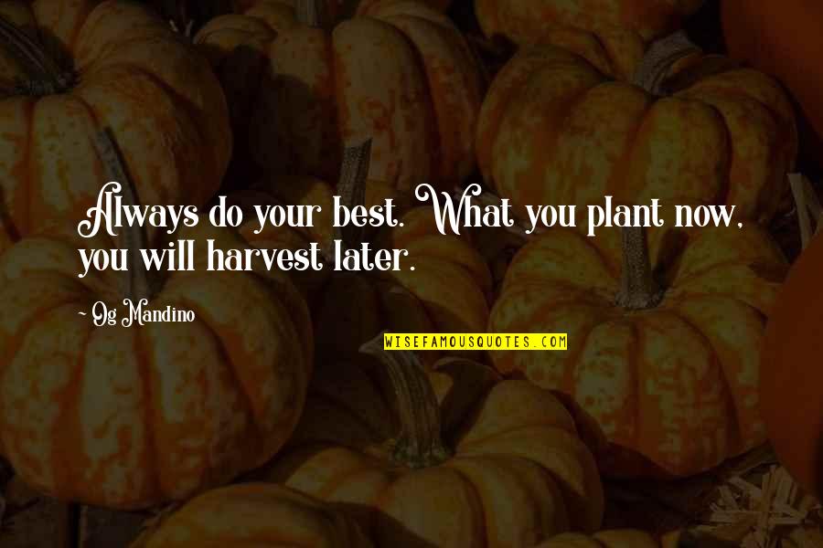 Harvest What You Plant Quotes By Og Mandino: Always do your best. What you plant now,