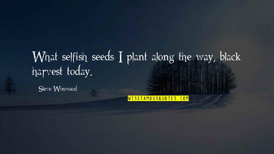 Harvest What You Plant Quotes By Steve Winwood: What selfish seeds I plant along the way,