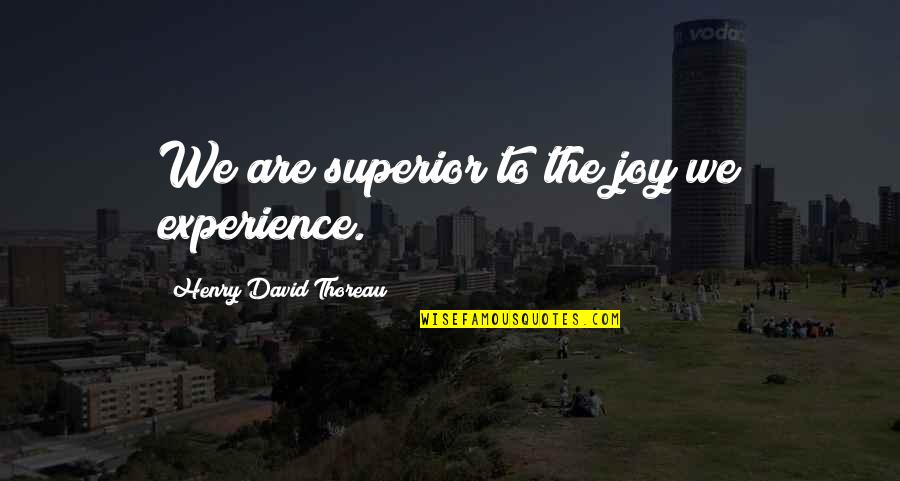 Harvey Kinkle Quotes By Henry David Thoreau: We are superior to the joy we experience.