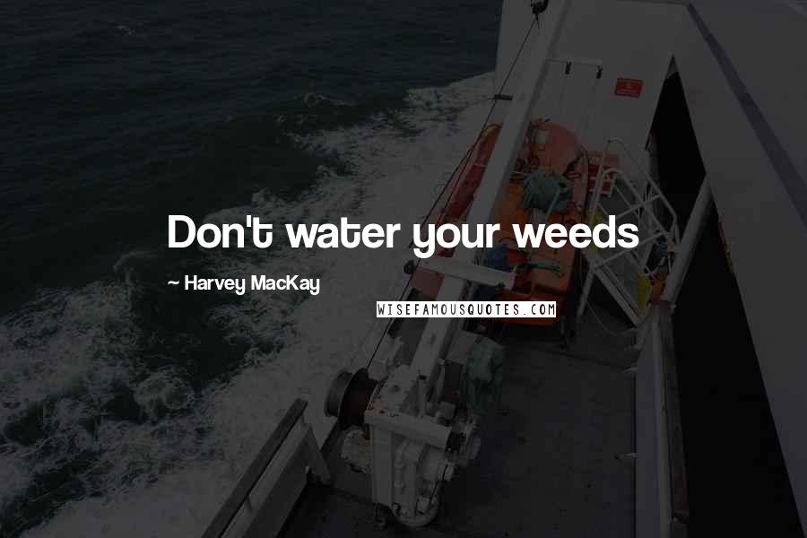 Harvey MacKay quotes: Don't water your weeds