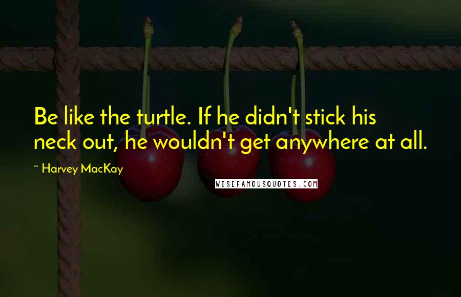 Harvey MacKay quotes: Be like the turtle. If he didn't stick his neck out, he wouldn't get anywhere at all.