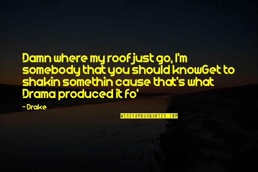 Haryanto Danutirto Quotes By Drake: Damn where my roof just go, I'm somebody Haryanto Danutirto Quotes By Drake: Damn where my roof just go, I'm somebody