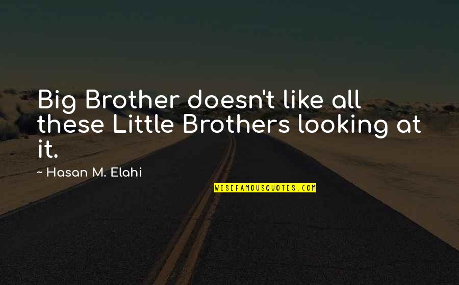 Hasan's Quotes By Hasan M. Elahi: Big Brother doesn't like all these Little Brothers