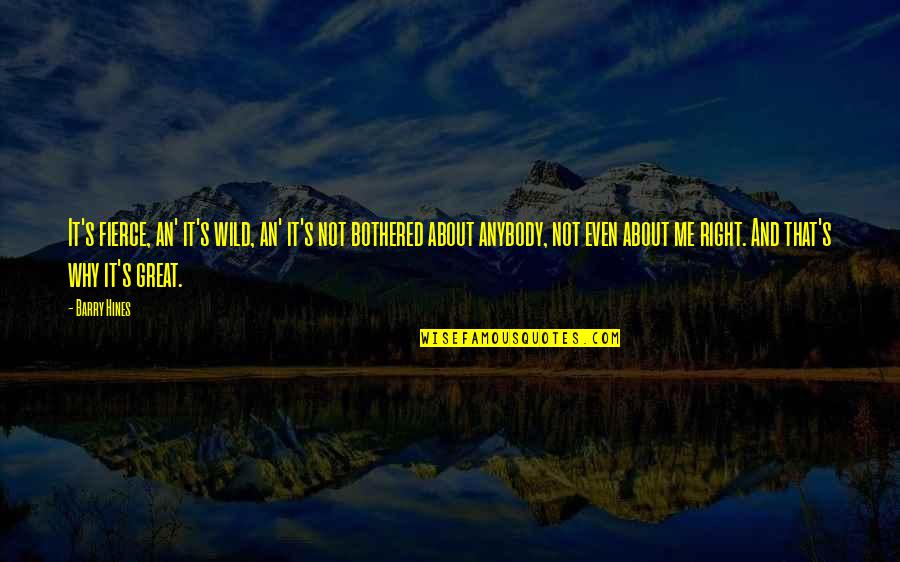 Haserot Quotes By Barry Hines: It's fierce, an' it's wild, an' it's not Haserot Quotes By Barry Hines: It's fierce, an' it's wild, an' it's not