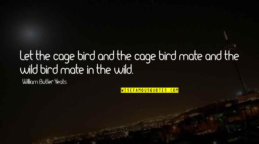 Haserot Quotes By William Butler Yeats: Let the cage bird and the cage bird