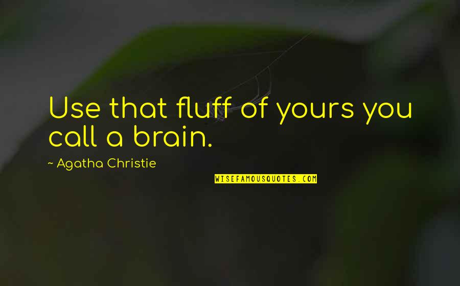 Hasiba Agic Quotes By Agatha Christie: Use that fluff of yours you call a Hasiba Agic Quotes By Agatha Christie: Use that fluff of yours you call a