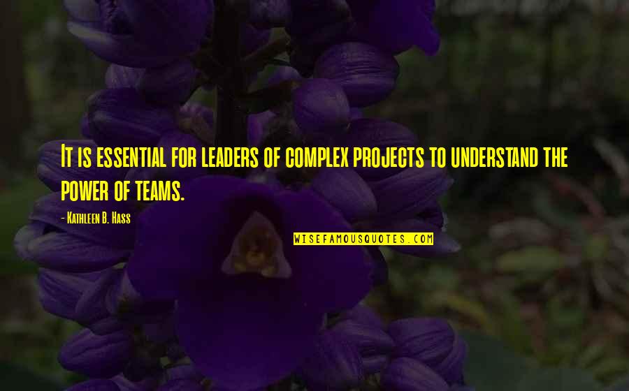 Hass Quotes By Kathleen B. Hass: It is essential for leaders of complex projects