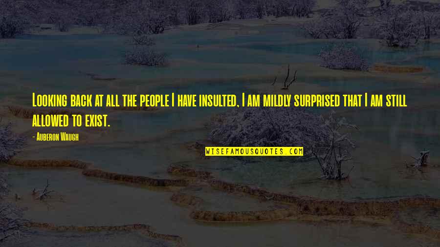 Hassan El Banna Quotes By Auberon Waugh: Looking back at all the people I have Hassan El Banna Quotes By Auberon Waugh: Looking back at all the people I have