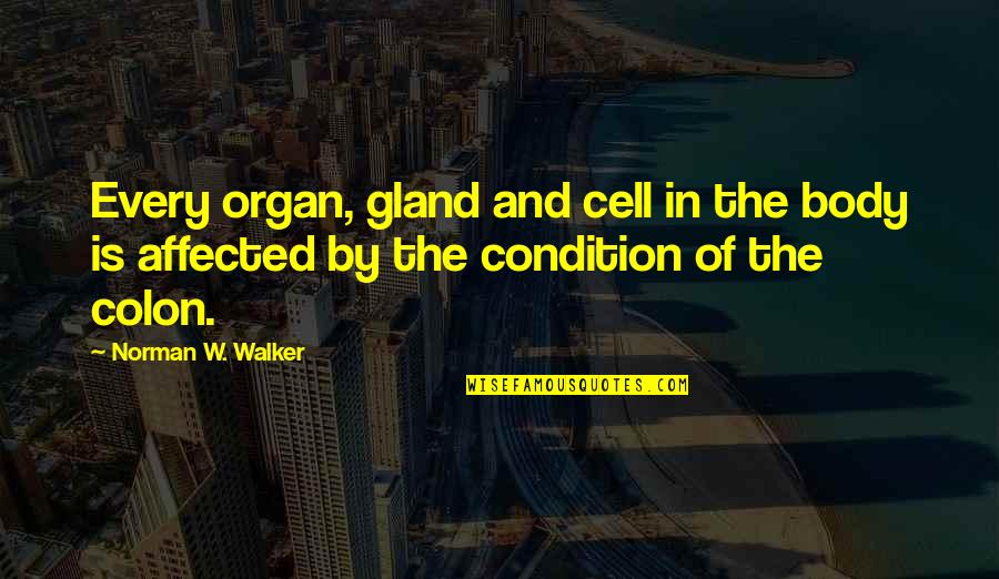 Hasslinger Catering Quotes By Norman W. Walker: Every organ, gland and cell in the body