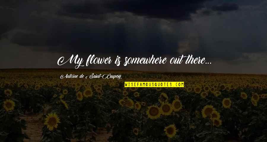 Hassun Chidori Quotes By Antoine De Saint-Exupery: My flower is somewhere out there... Hassun Chidori Quotes By Antoine De Saint-Exupery: My flower is somewhere out there...