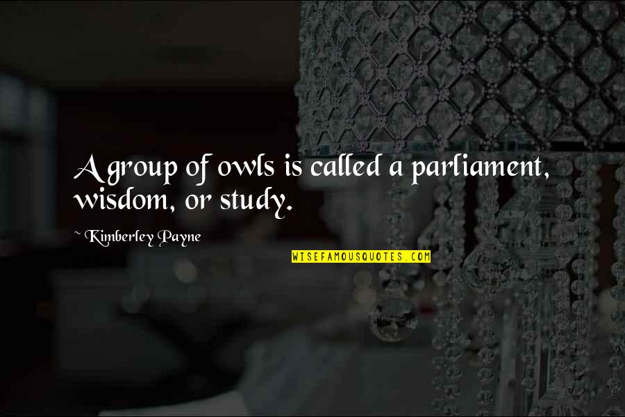 Hastaya Pozisyon Quotes By Kimberley Payne: A group of owls is called a parliament, Hastaya Pozisyon Quotes By Kimberley Payne: A group of owls is called a parliament,
