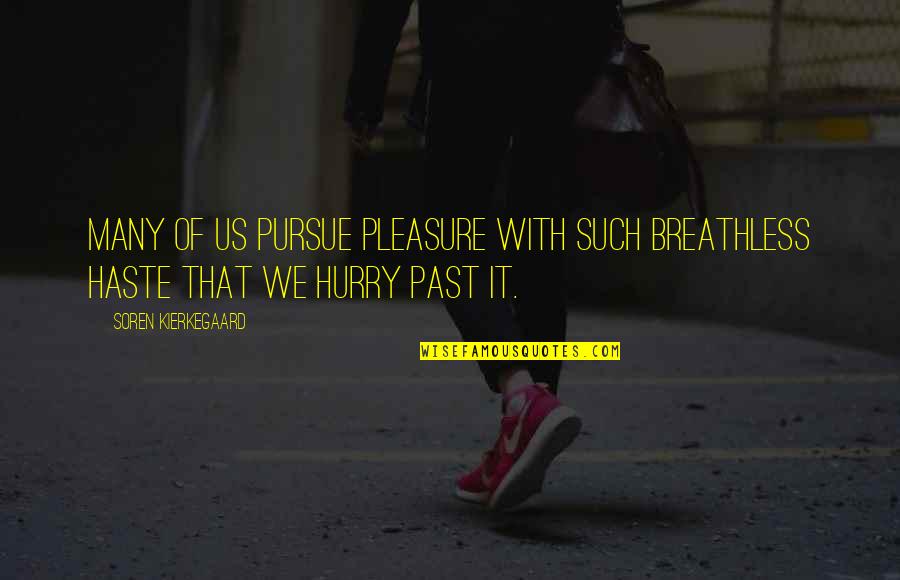 Haste Quotes By Soren Kierkegaard: Many of us pursue pleasure with such breathless