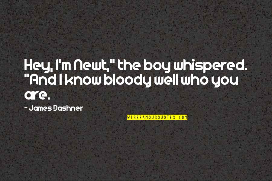Hat Like The Virginian Quotes By James Dashner: Hey, I'm Newt," the boy whispered. "And I