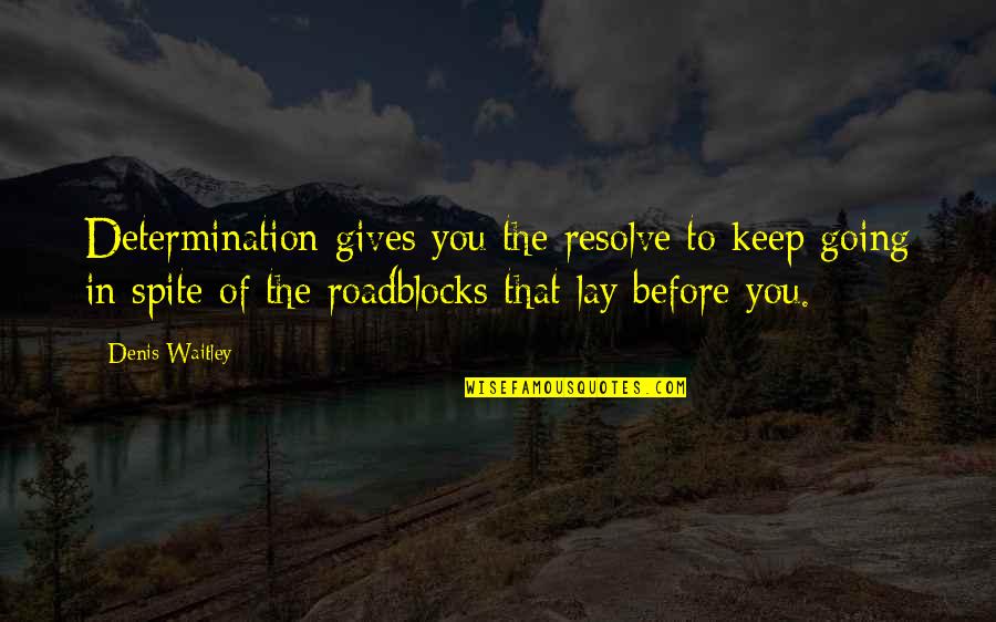 Hatalom Kardja Quotes By Denis Waitley: Determination gives you the resolve to keep going