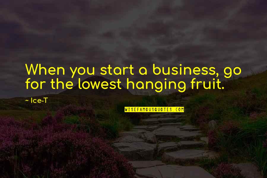 Hatano Wataru Quotes By Ice-T: When you start a business, go for the