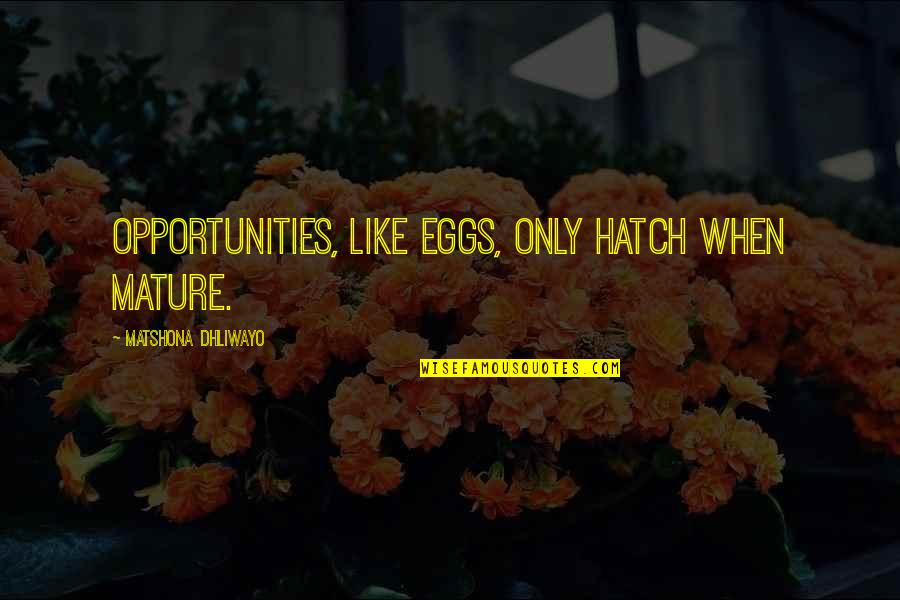 Hatch Your Eggs Quotes By Matshona Dhliwayo: Opportunities, like eggs, only hatch when mature.