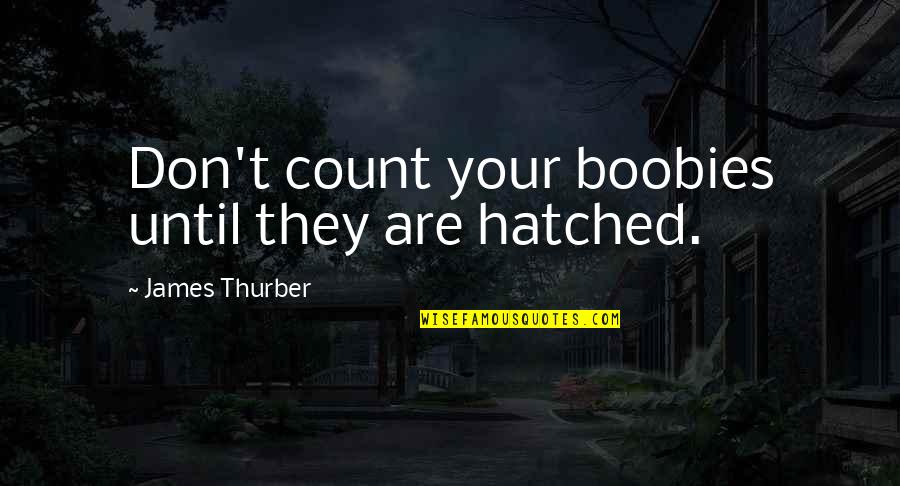 Hatched Quotes By James Thurber: Don't count your boobies until they are hatched.