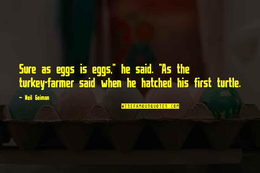 Hatched Quotes By Neil Gaiman: Sure as eggs is eggs," he said. "As