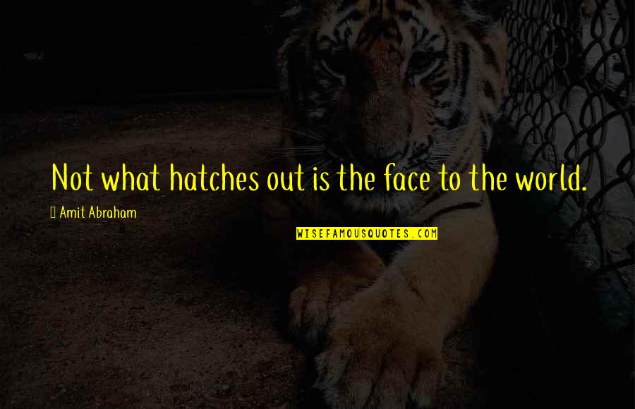 Hatches Quotes By Amit Abraham: Not what hatches out is the face to