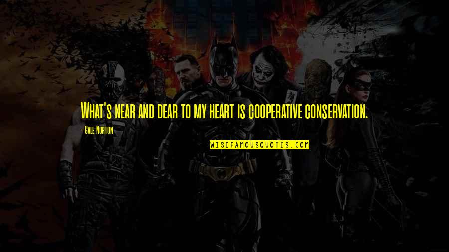 Hatcheting Quotes By Gale Norton: What's near and dear to my heart is