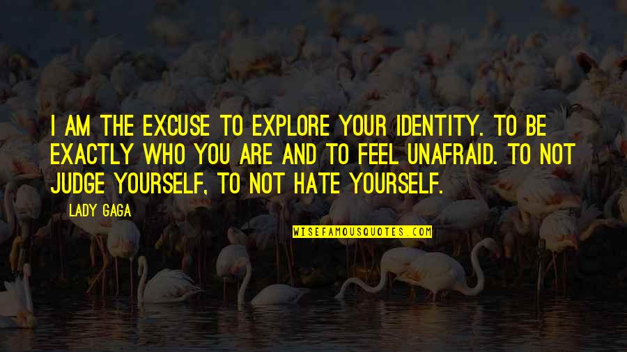 Hate Am Quotes By Lady Gaga: I am the excuse to explore your identity. Hate Am Quotes By Lady Gaga: I am the excuse to explore your identity.