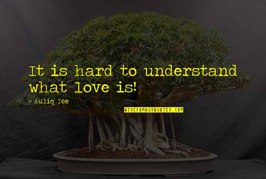 Hate And Dislike Quotes By Auliq Ice: It is hard to understand what love is!