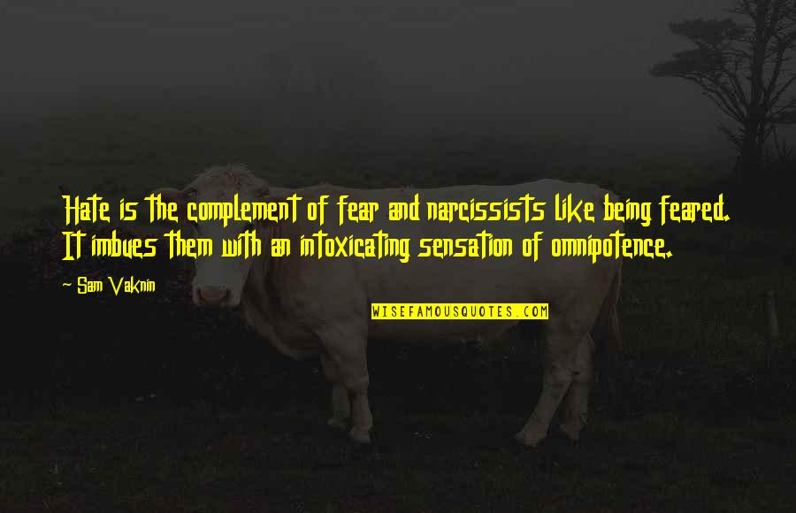 Hate And Fear Quotes By Sam Vaknin: Hate is the complement of fear and narcissists