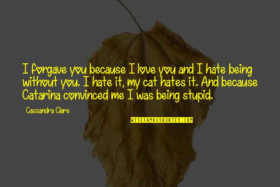 Hate Being Me Quotes By Cassandra Clare: I forgave you because I love you and