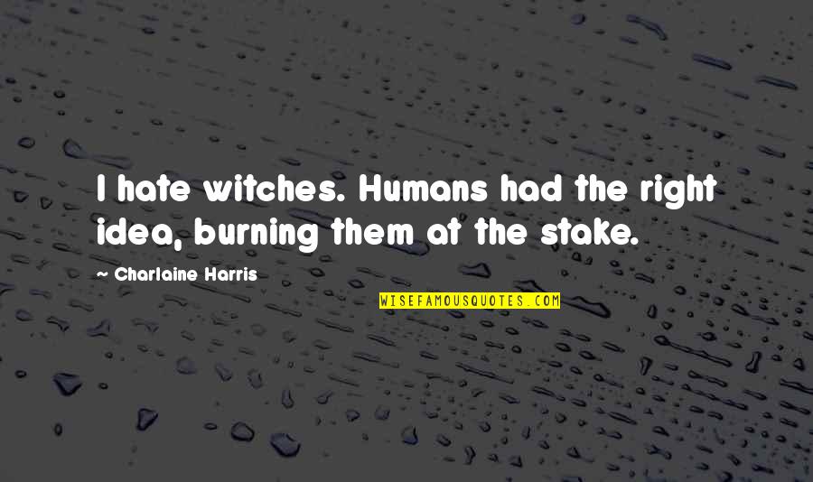 Hate Funny Quotes By Charlaine Harris: I hate witches. Humans had the right idea,