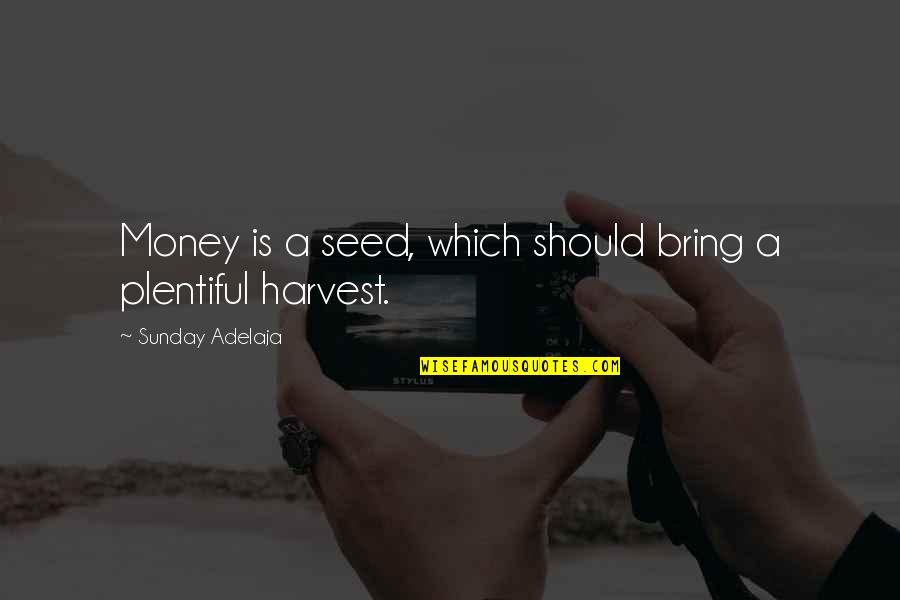 Hate Ironing Quotes By Sunday Adelaja: Money is a seed, which should bring a