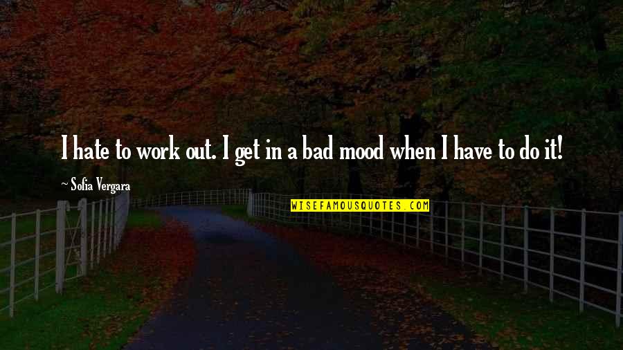 Hate Is Bad Quotes By Sofia Vergara: I hate to work out. I get in