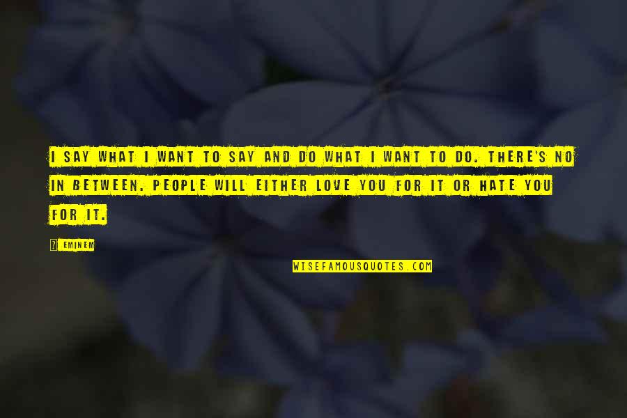 Hate It Or Love It Quotes By Eminem: I say what I want to say and Hate It Or Love It Quotes By Eminem: I say what I want to say and
