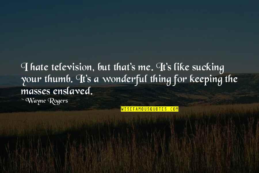 Hate Me But Quotes By Wayne Rogers: I hate television, but that's me. It's like