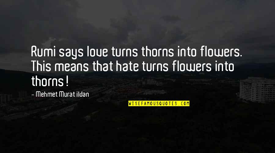Hate Means Love Quotes By Mehmet Murat Ildan: Rumi says love turns thorns into flowers. This Hate Means Love Quotes By Mehmet Murat Ildan: Rumi says love turns thorns into flowers. This