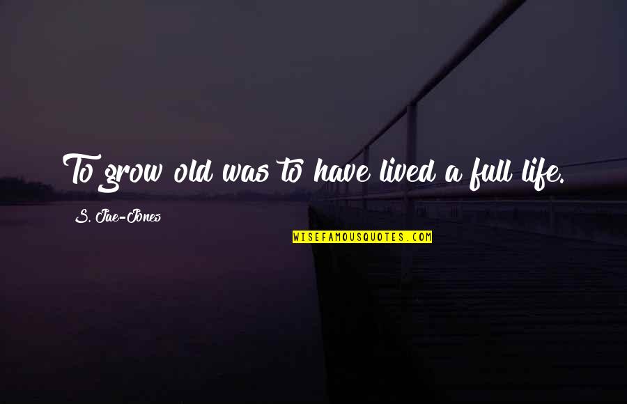 Hate Meetings Quotes By S. Jae-Jones: To grow old was to have lived a