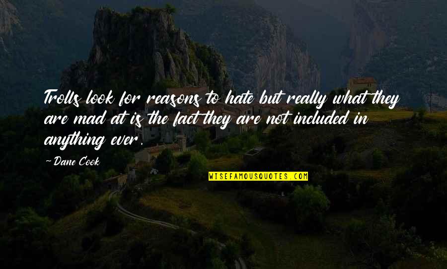 Hate My Looks Quotes By Dane Cook: Trolls look for reasons to hate but really