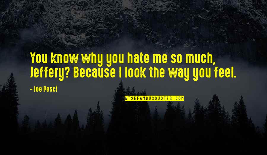 Hate My Looks Quotes By Joe Pesci: You know why you hate me so much,