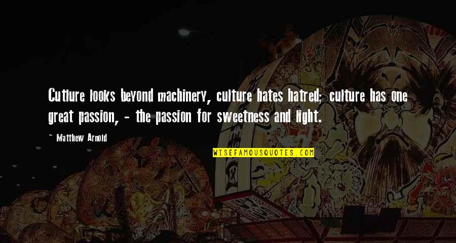 Hate My Looks Quotes By Matthew Arnold: Cutlure looks beyond machinery, culture hates hatred; culture
