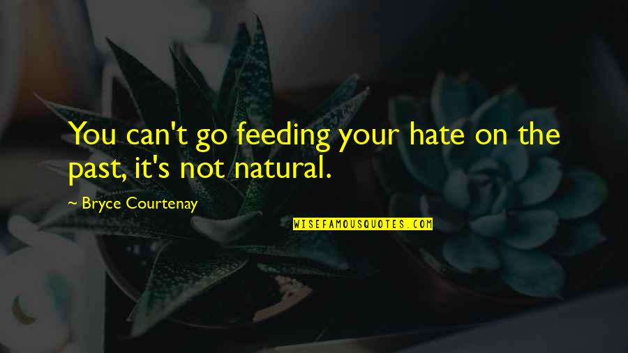 Hate On You Quotes By Bryce Courtenay: You can't go feeding your hate on the