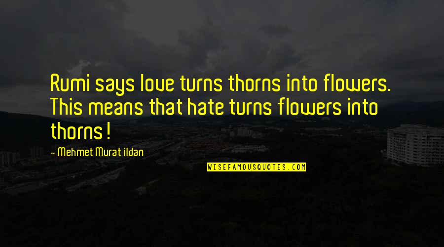 Hate This Love Quotes By Mehmet Murat Ildan: Rumi says love turns thorns into flowers. This
