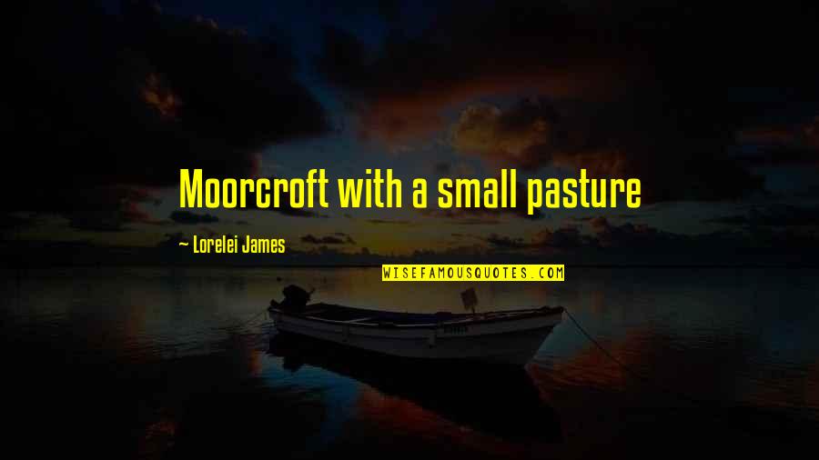 Hate To Lose Love To Win Quotes By Lorelei James: Moorcroft with a small pasture