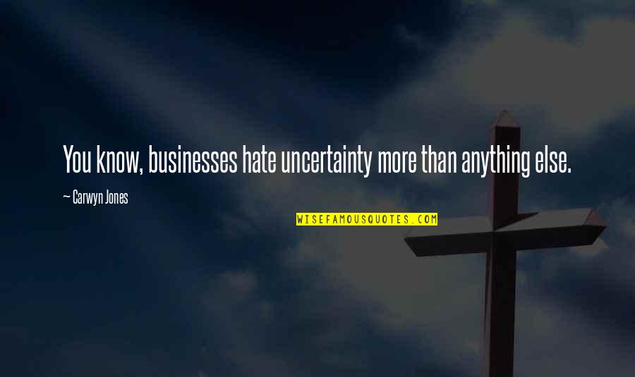 Hate You More Than Quotes By Carwyn Jones: You know, businesses hate uncertainty more than anything