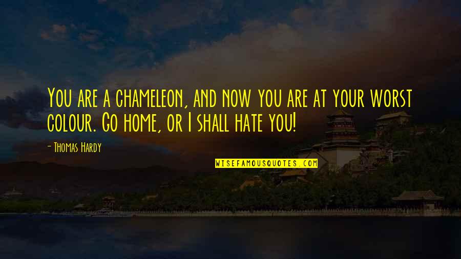 Hate You Now Quotes By Thomas Hardy: You are a chameleon, and now you are Hate You Now Quotes By Thomas Hardy: You are a chameleon, and now you are