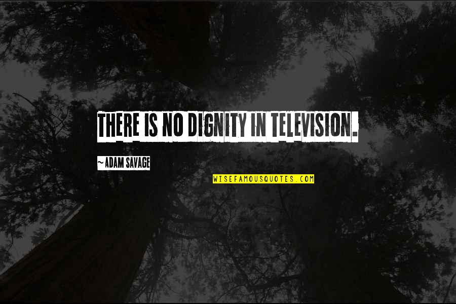 Hateth Quotes By Adam Savage: There is no dignity in television. Hateth Quotes By Adam Savage: There is no dignity in television.