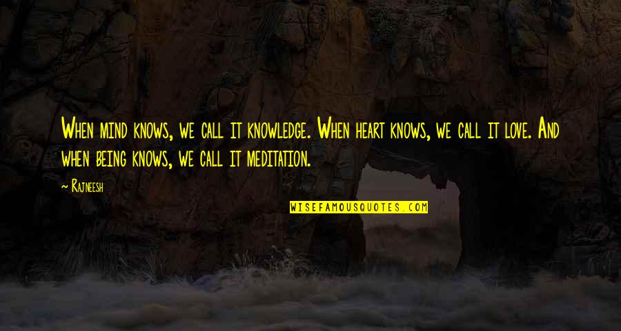 Hating The Holidays Quotes By Rajneesh: When mind knows, we call it knowledge. When