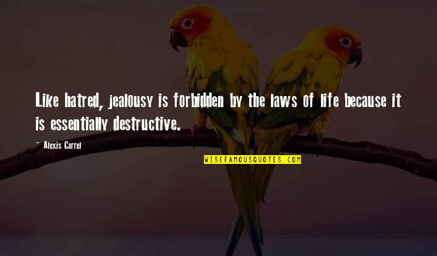 Hatred And Jealousy Quotes By Alexis Carrel: Like hatred, jealousy is forbidden by the laws