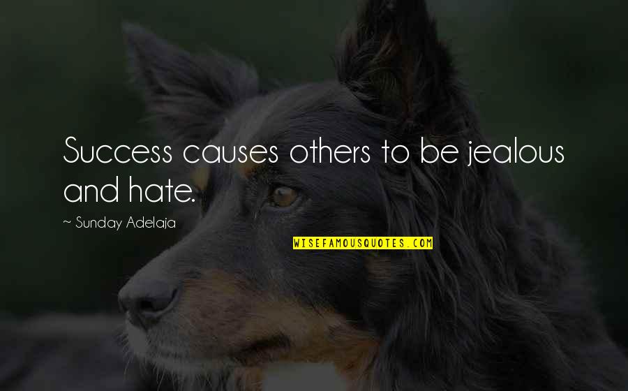 Hatred And Jealousy Quotes By Sunday Adelaja: Success causes others to be jealous and hate.