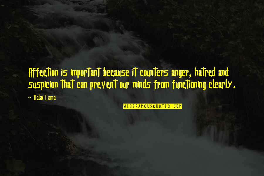 Hatred Anger Quotes By Dalai Lama: Affection is important because it counters anger, hatred Hatred Anger Quotes By Dalai Lama: Affection is important because it counters anger, hatred