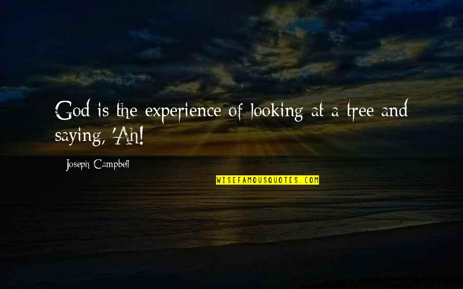 Hatsukare Quotes By Joseph Campbell: God is the experience of looking at a Hatsukare Quotes By Joseph Campbell: God is the experience of looking at a