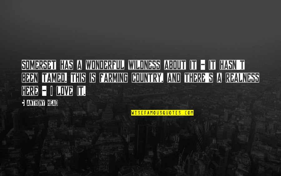 Haufferhaus Quotes By Anthony Head: Somerset has a wonderful wildness about it -
